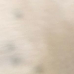 Meet your Posher, Gloria